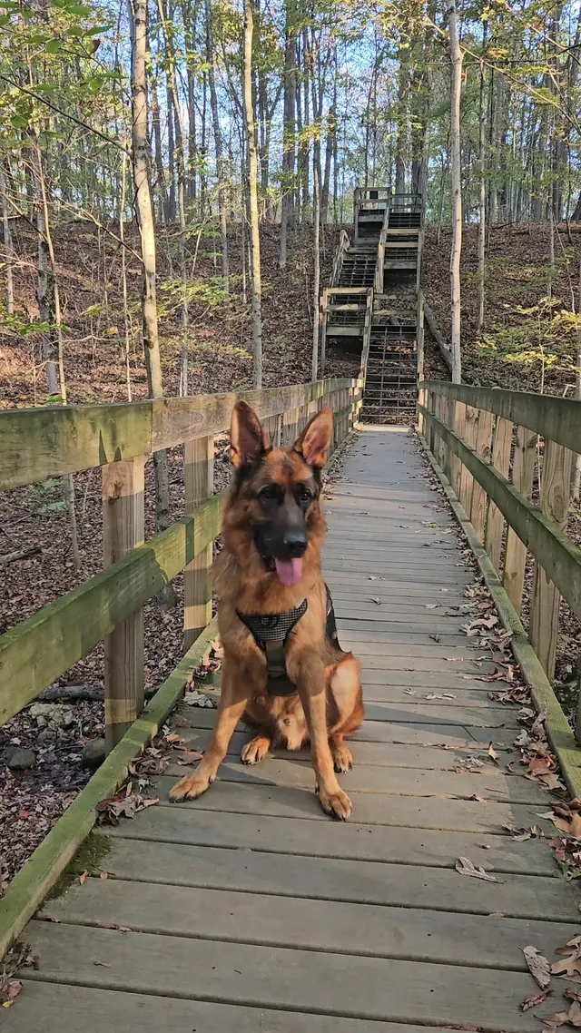 Customer photo of work by Hogback Ridge Park, from Bobbi Marie Heisley's review