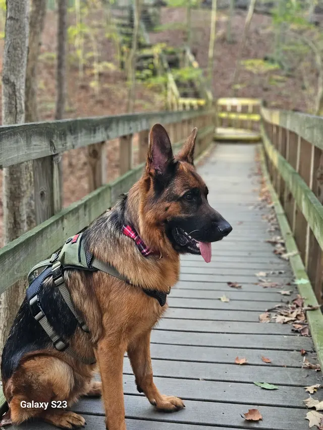 Customer photo of work by Hogback Ridge Park, from Bobbi Marie Heisley's review