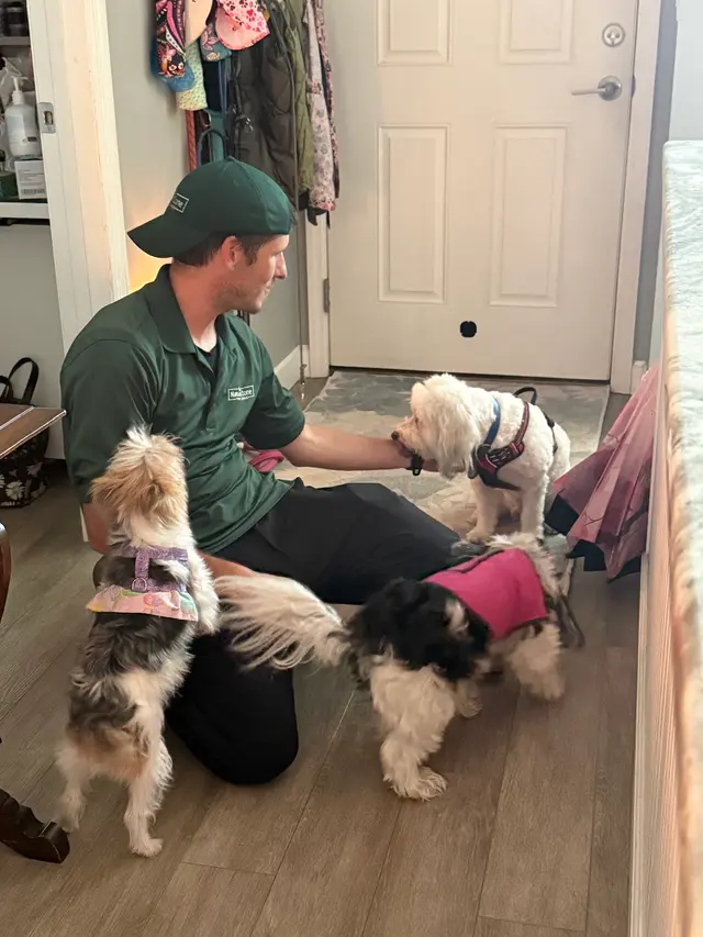 NaturZone Pest Control — customer photo 3