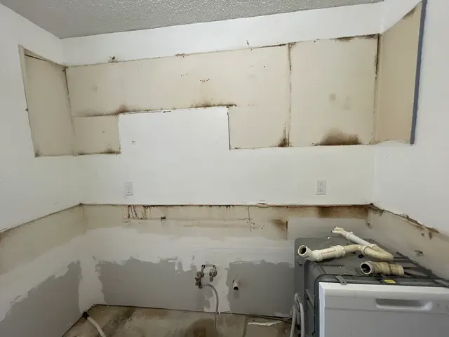 Keller's Pest Control — customer photo 7