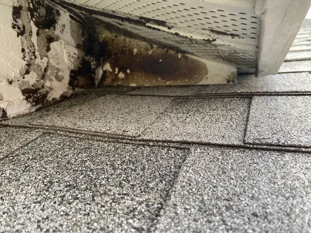Keller's Pest Control — customer photo 10