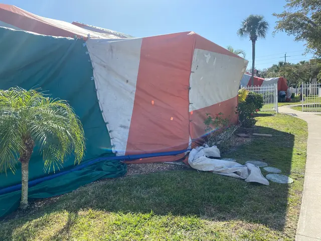 ACME Termite & Pest Control — customer photo 4