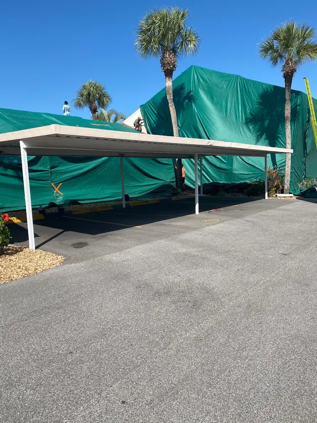 ACME Termite & Pest Control — customer photo 3