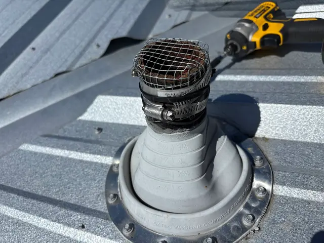 Pest Free LLC — customer photo 4