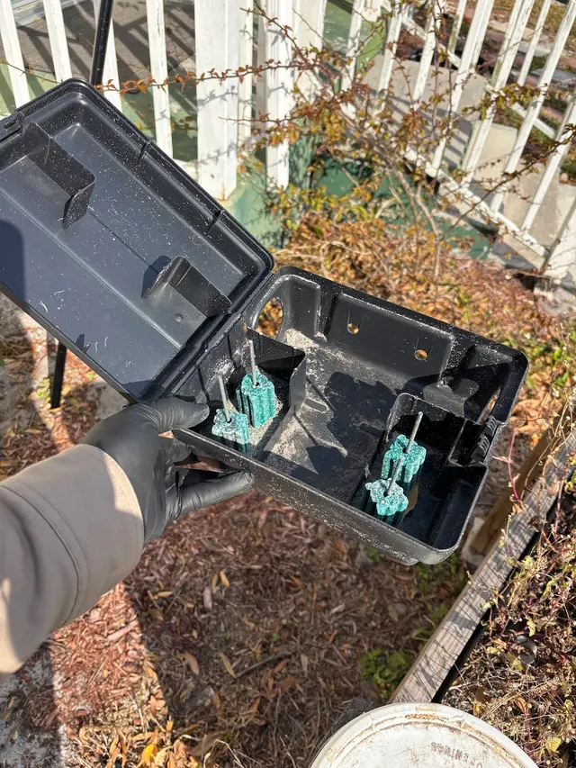 Pest Free LLC — photo from the business 9