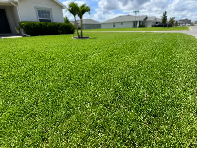 Westfall's Lawn and Pest Control — photo from the business 3