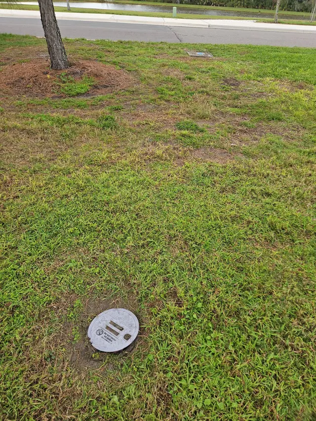 Jones & Sons Pest Control — customer photo 4