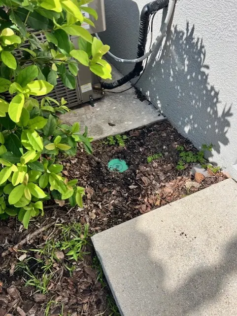 ORGREENX — photo from the business 4