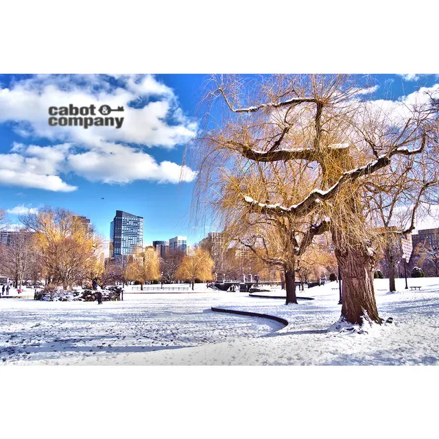 Cabot and Company Real Estate — photo from the business 7