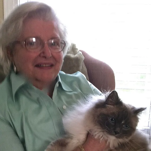 Customer photo from Patricia's review