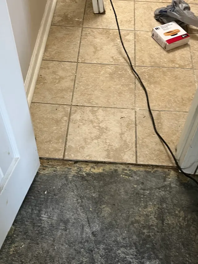 Zoom Drain — customer photo 8