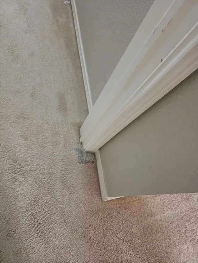 AAA Home & Termite Inspections — customer photo 9