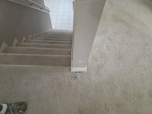 AAA Home & Termite Inspections — customer photo 10