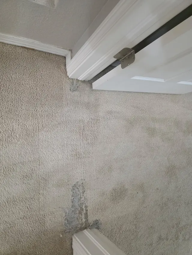 AAA Home & Termite Inspections — customer photo 8