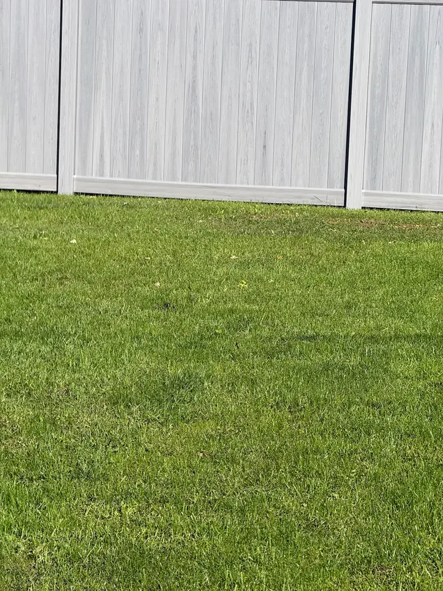 Customer photo of work by Dane County Fence & Deck, from Jasmine Carter's review
