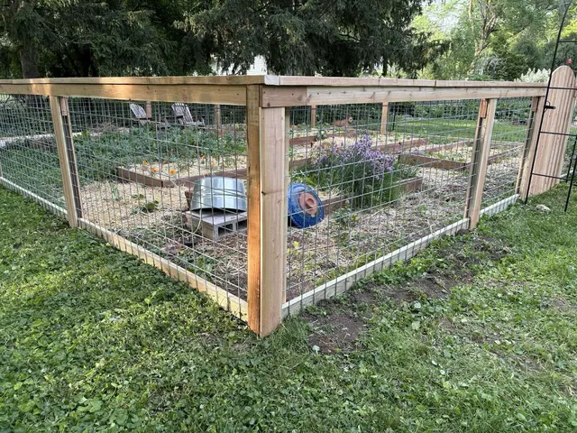 Solid Fencing — photo from the business 1