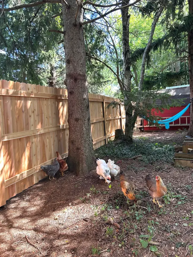 Driftless Fence Solutions — customer photo 6