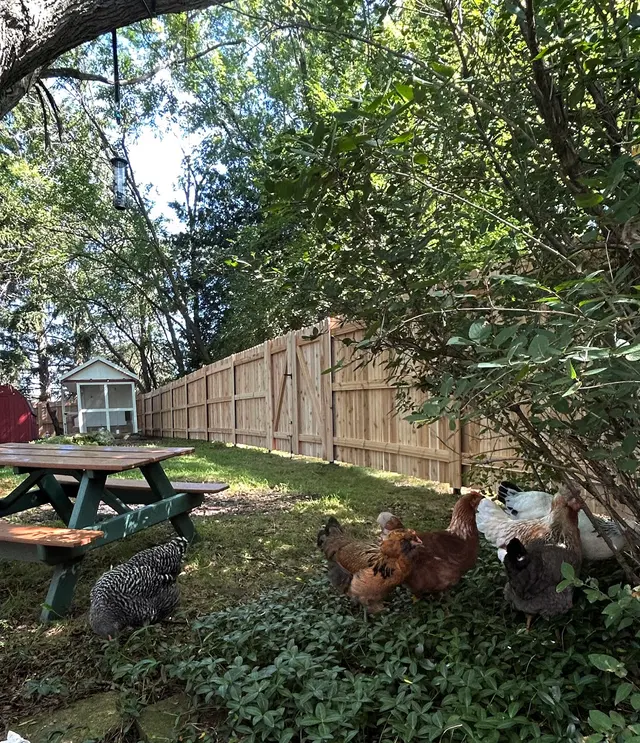 Driftless Fence Solutions — customer photo 7