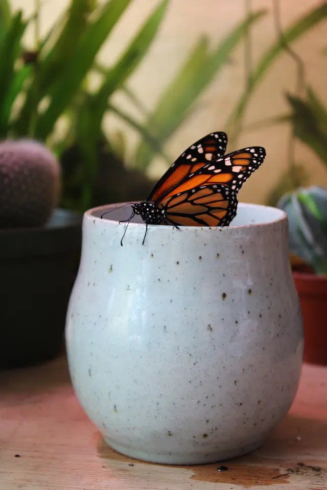 Sarah Glass Ceramics — photo from the business 11