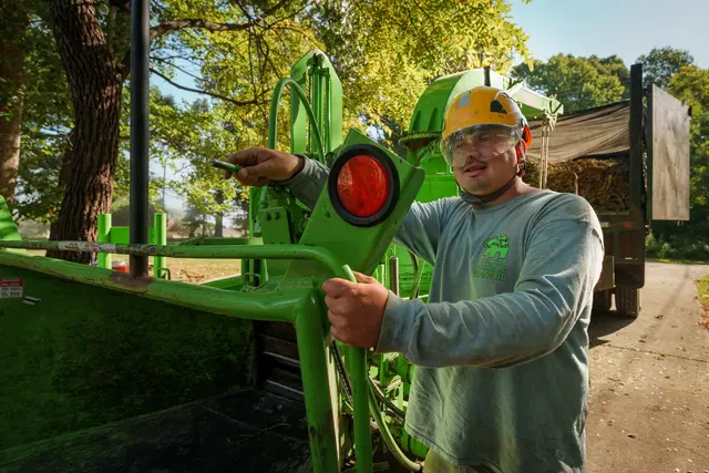Green Bear Tree Service LLC — photo from the business 10