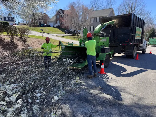 Green Bear Tree Service LLC — photo from the business 12