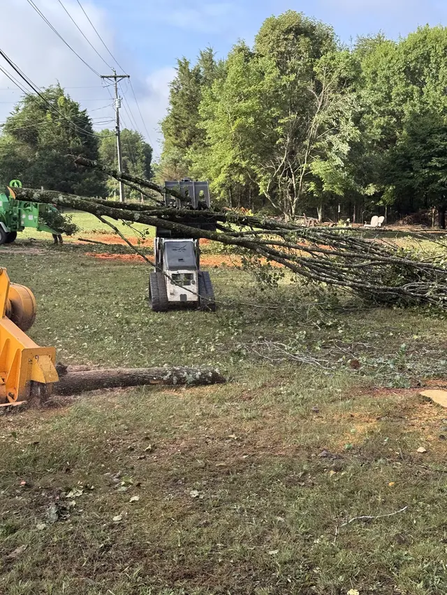 Green Bear Tree Service LLC — photo from the business 9