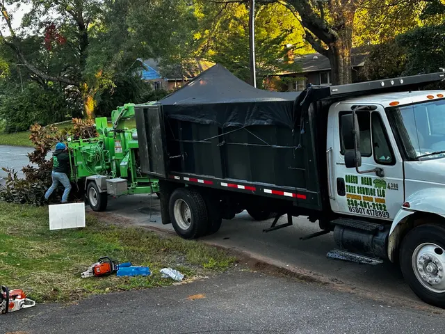 Green Bear Tree Service LLC — customer photo 6