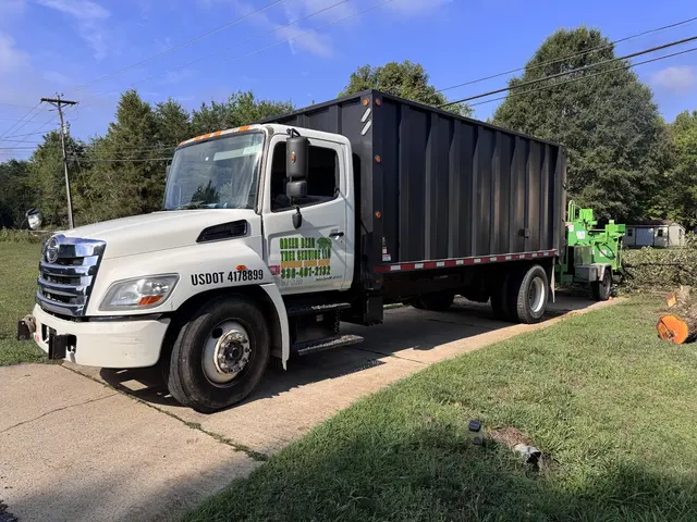 Green Bear Tree Service LLC — photo from the business 5