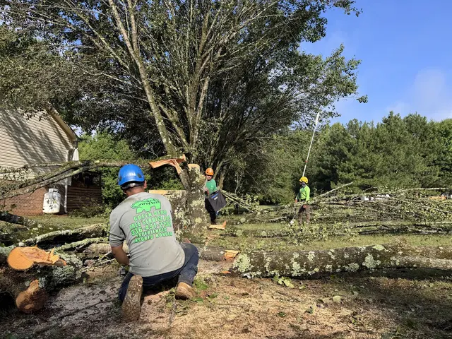 Green Bear Tree Service LLC — photo from the business 11