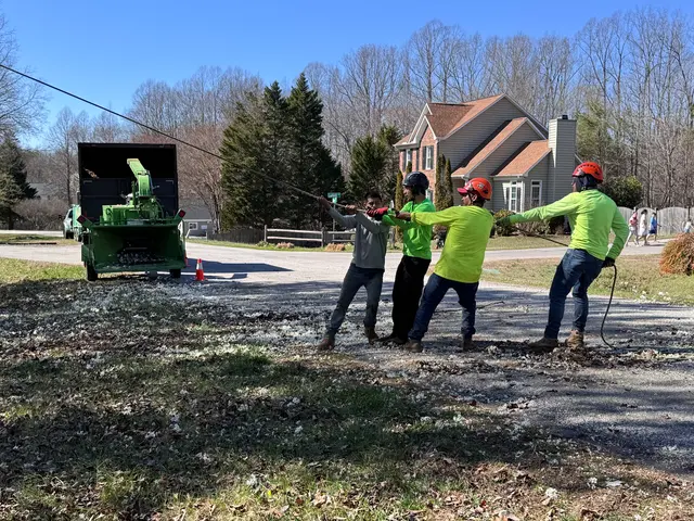 Green Bear Tree Service LLC — photo from the business 7
