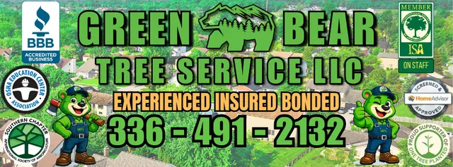 Green Bear Tree Service LLC — photo from the business 1