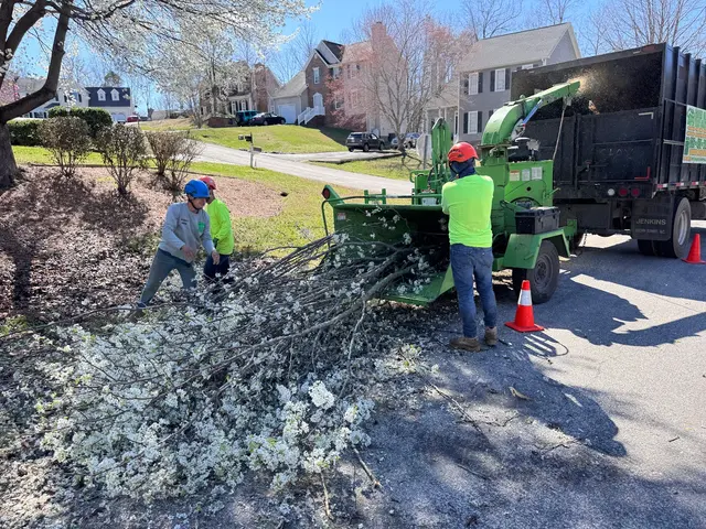 Green Bear Tree Service LLC — photo from the business 3