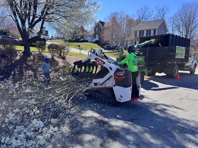 Green Bear Tree Service LLC — photo from the business 4