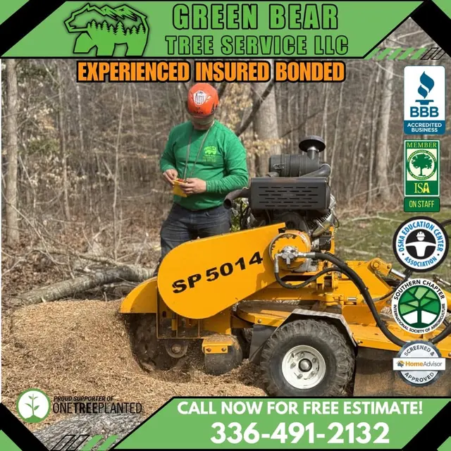 Green Bear Tree Service LLC — photo from the business 2