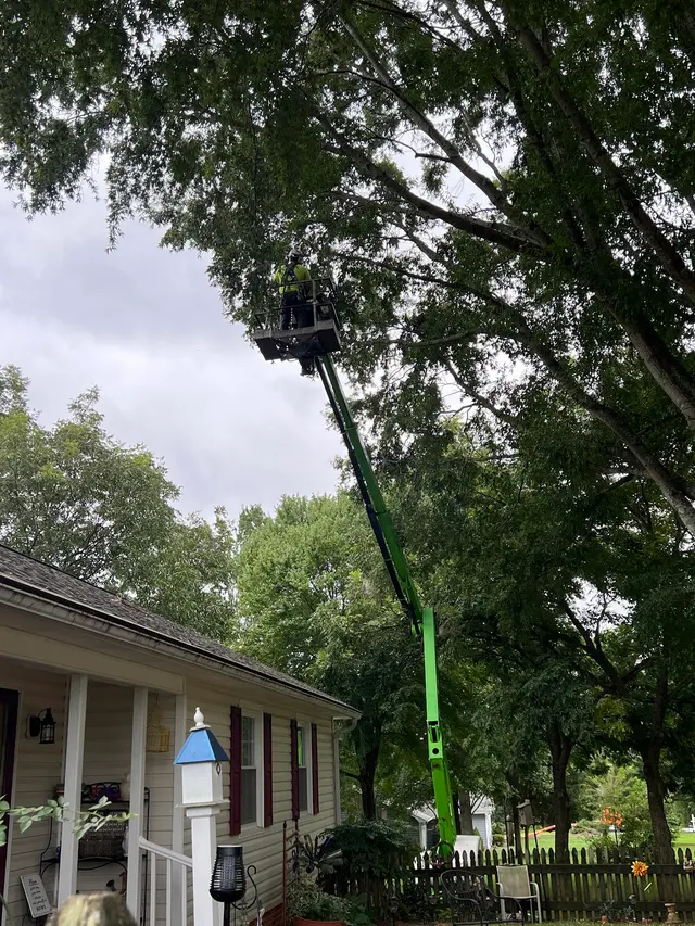 Miller Tree Service — customer photo 4