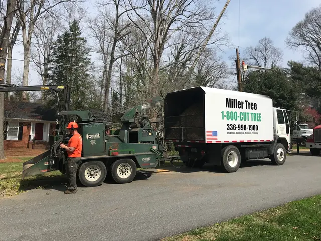 Miller Tree Service — photo from the business 11