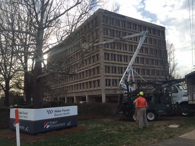 Miller Tree Service — photo from the business 10