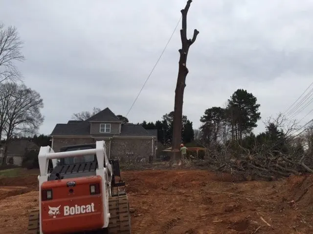 Miller Tree Service — photo from the business 6