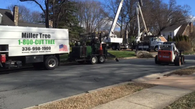 Miller Tree Service — photo from the business 12