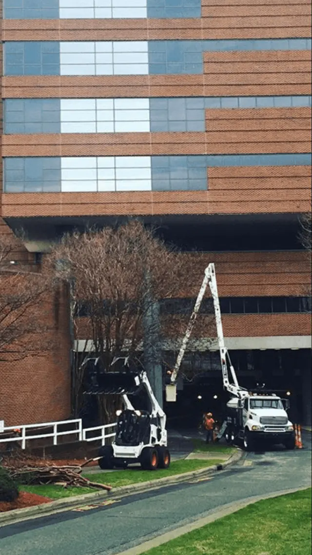 Miller Tree Service — photo from the business 9