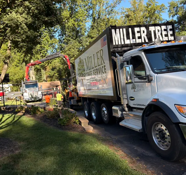 Miller Tree Service — customer photo 3