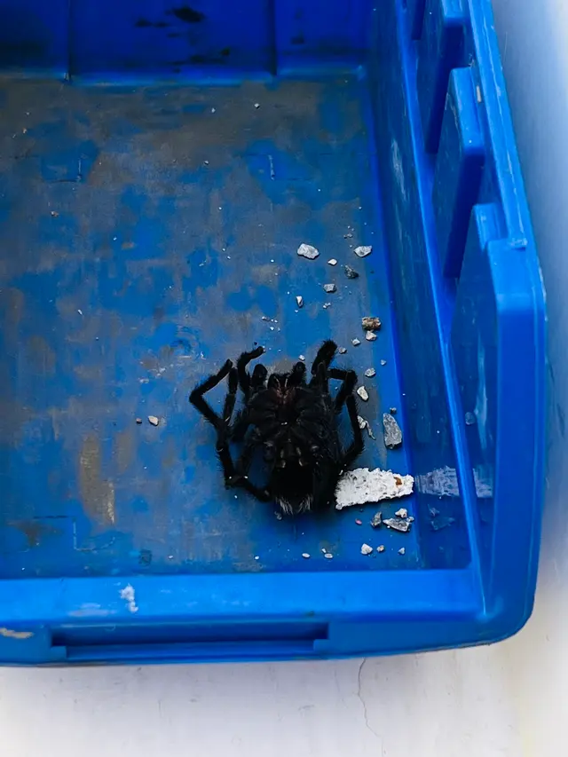 Truly Nolen Pest & Termite Control — customer photo 10