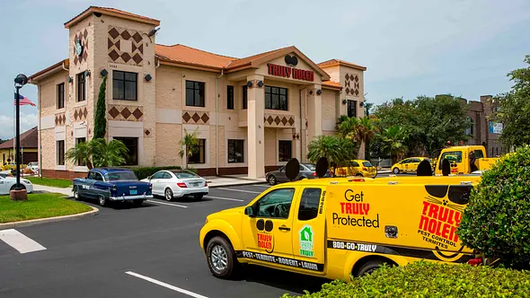 Truly Nolen Pest & Termite Control — photo from the business 2