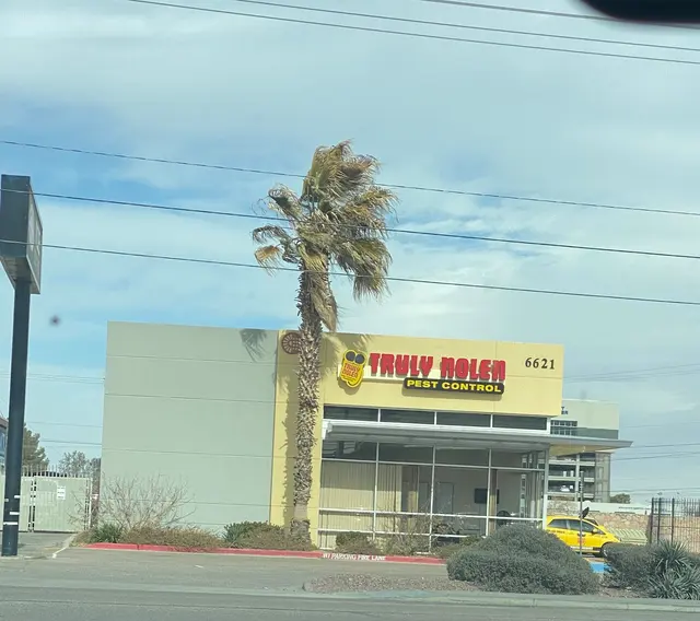 Truly Nolen Pest & Termite Control — customer photo 6