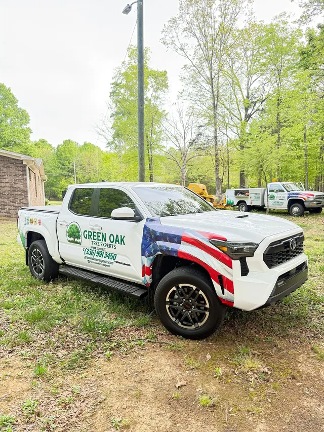 Green Oak Tree Experts — photo from the business 4