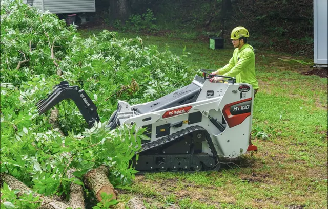 Green Oak Tree Experts — photo from the business 7