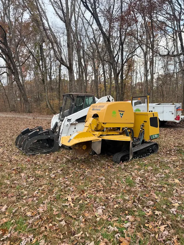 Green Oak Tree Experts — photo from the business 6