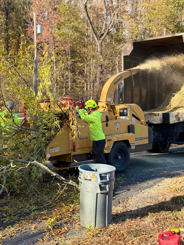 Green Oak Tree Experts — photo from the business 9