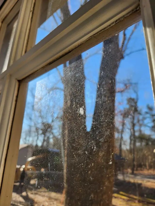 Customer photo from Susan's review