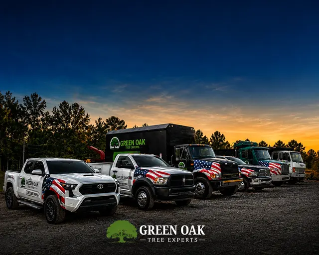 Green Oak Tree Experts — photo from the business 1